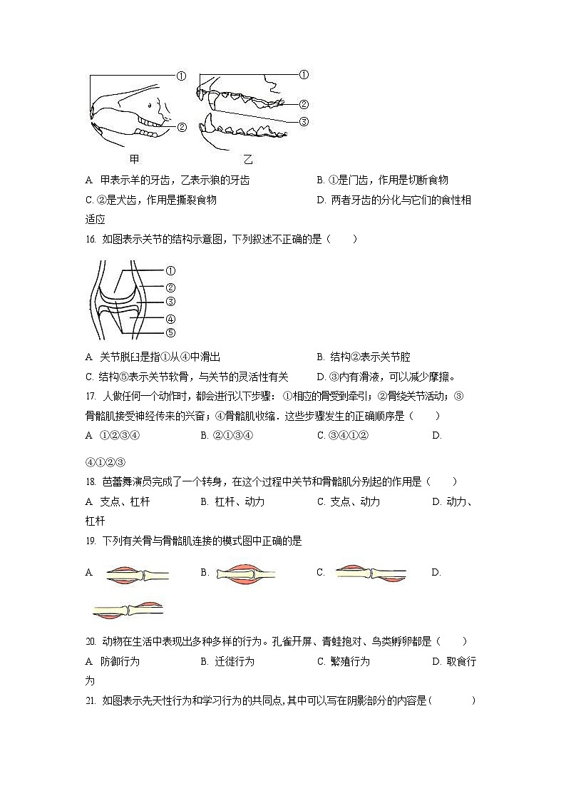 2022-2023学年广东省广州市花都区黄广中学八年级上学期期末生物试题（含答案）第3页