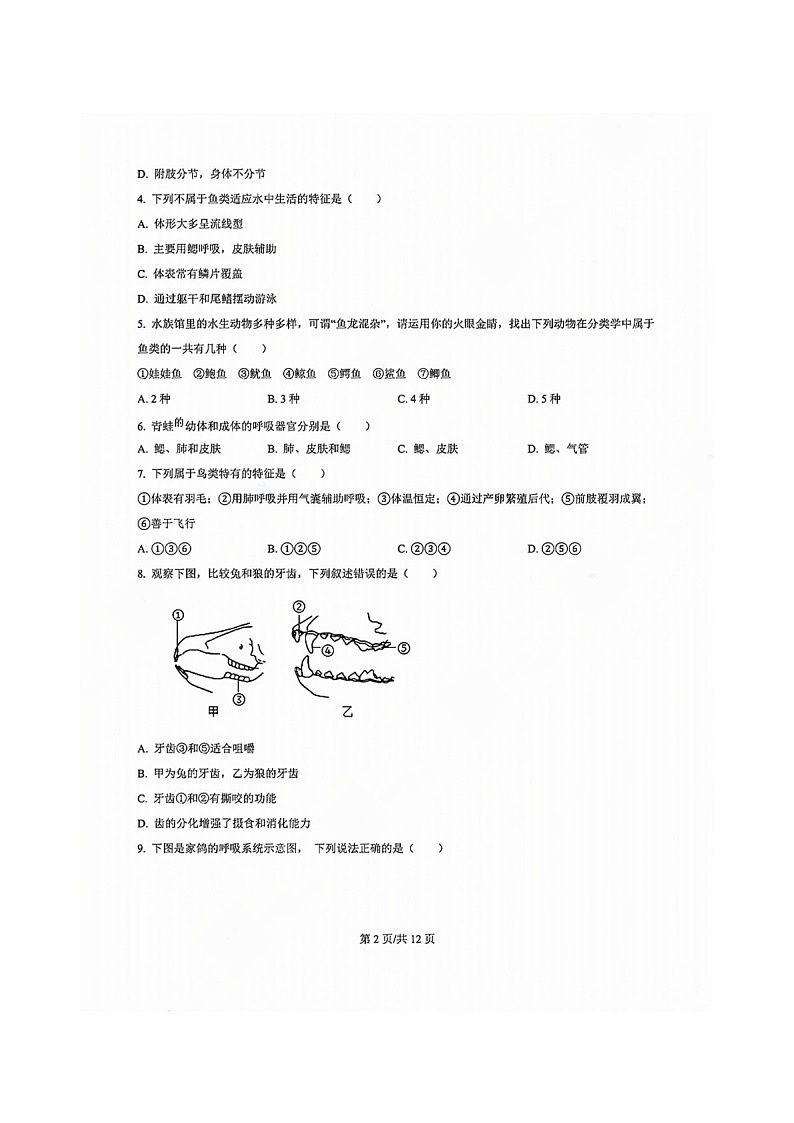 白云区2024-2025学年八年级上学期期末生物试题（含答案）第2页