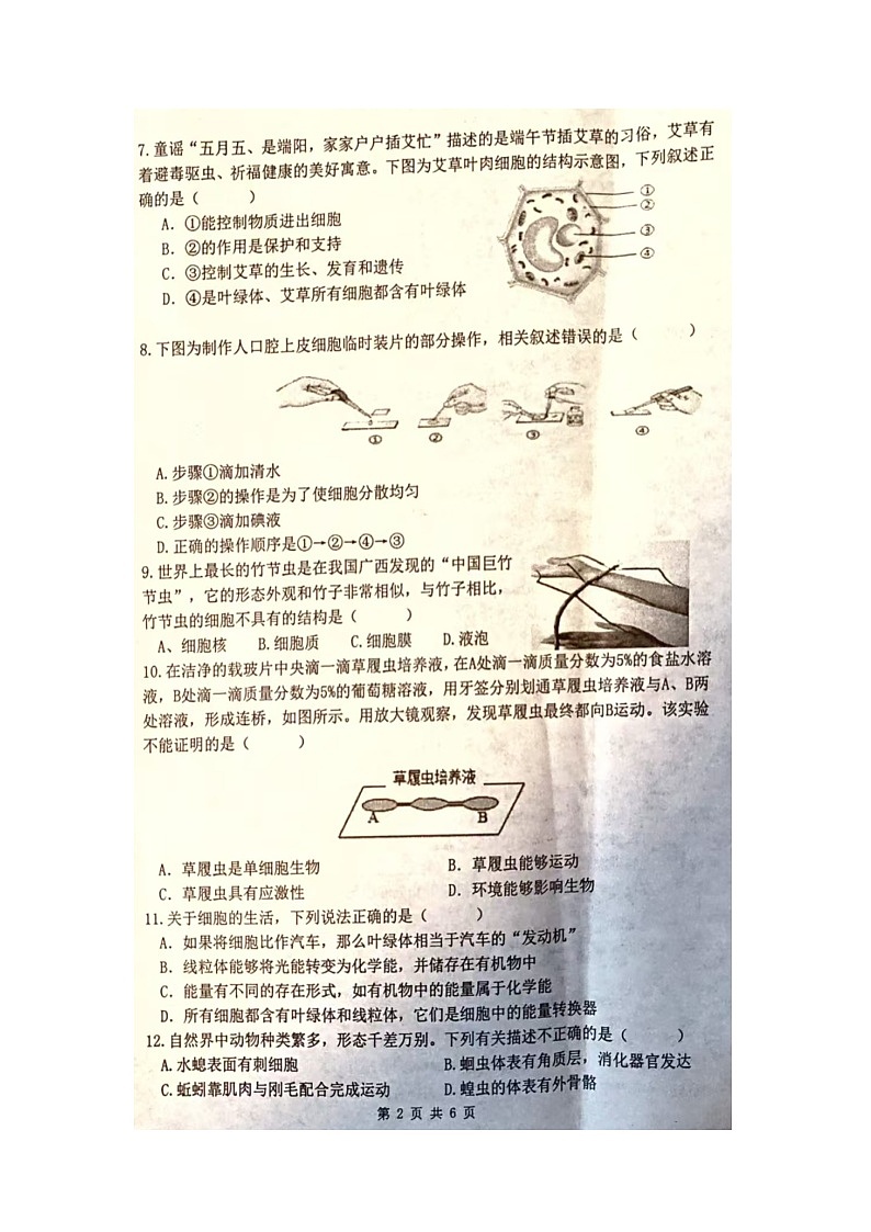 克东县2025-2026学年度上学期期末质量测查七年级生物试题第2页