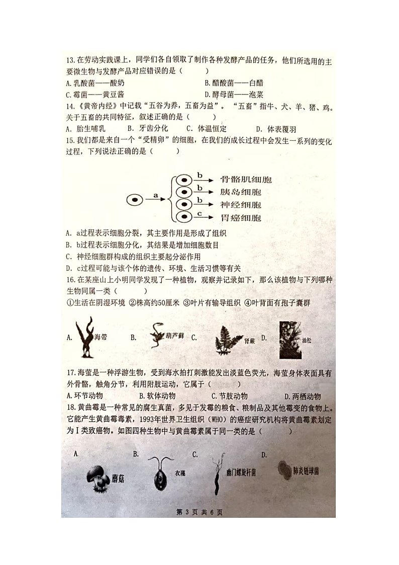 克东县2025-2026学年度上学期期末质量测查七年级生物试题第3页