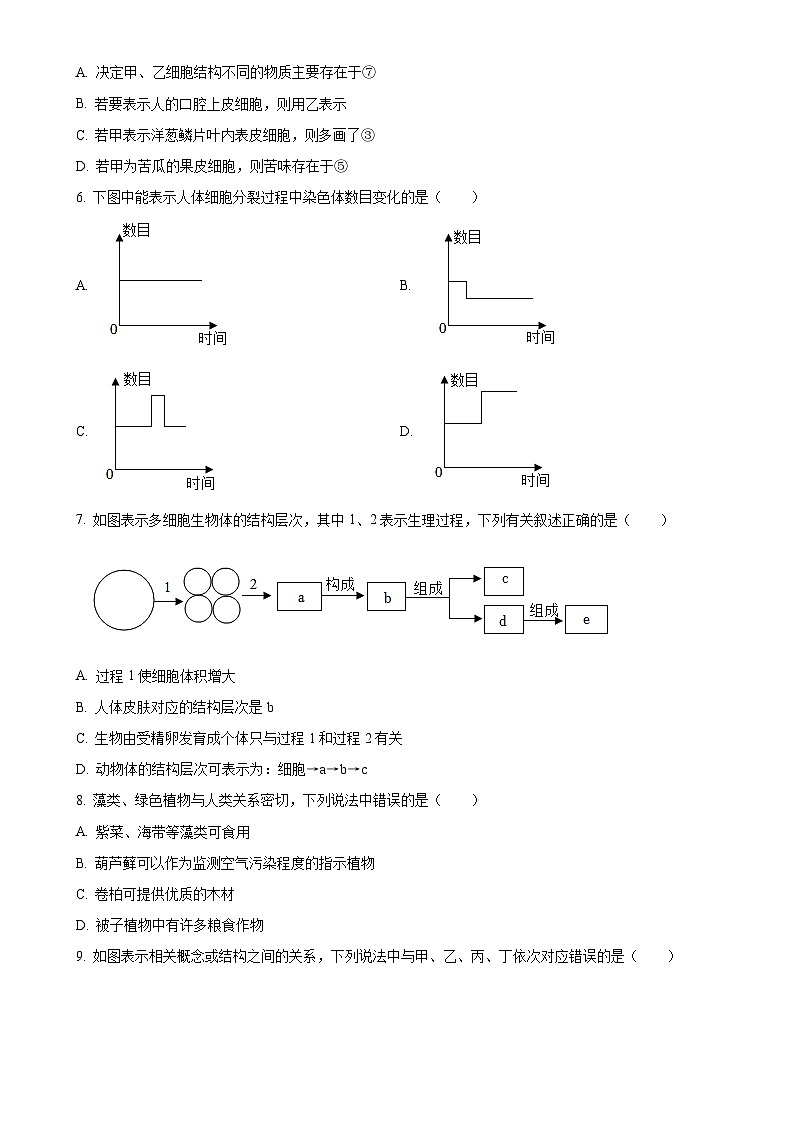 甘肃省陇南市武都区七年级上学期期末生物试题（原卷版）-A4第2页