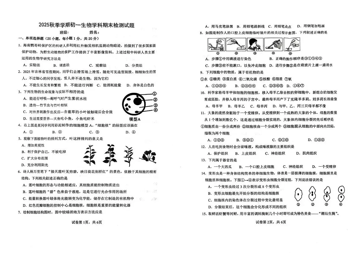 吉林省吉林市第十三中学2025-2026学年七年级上学期期末考试生物试题第1页