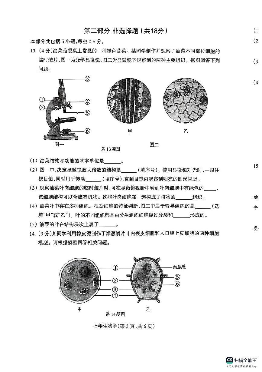 辽宁省沈阳市和平区2025-2026学年七年级上学期期末生物试卷第3页