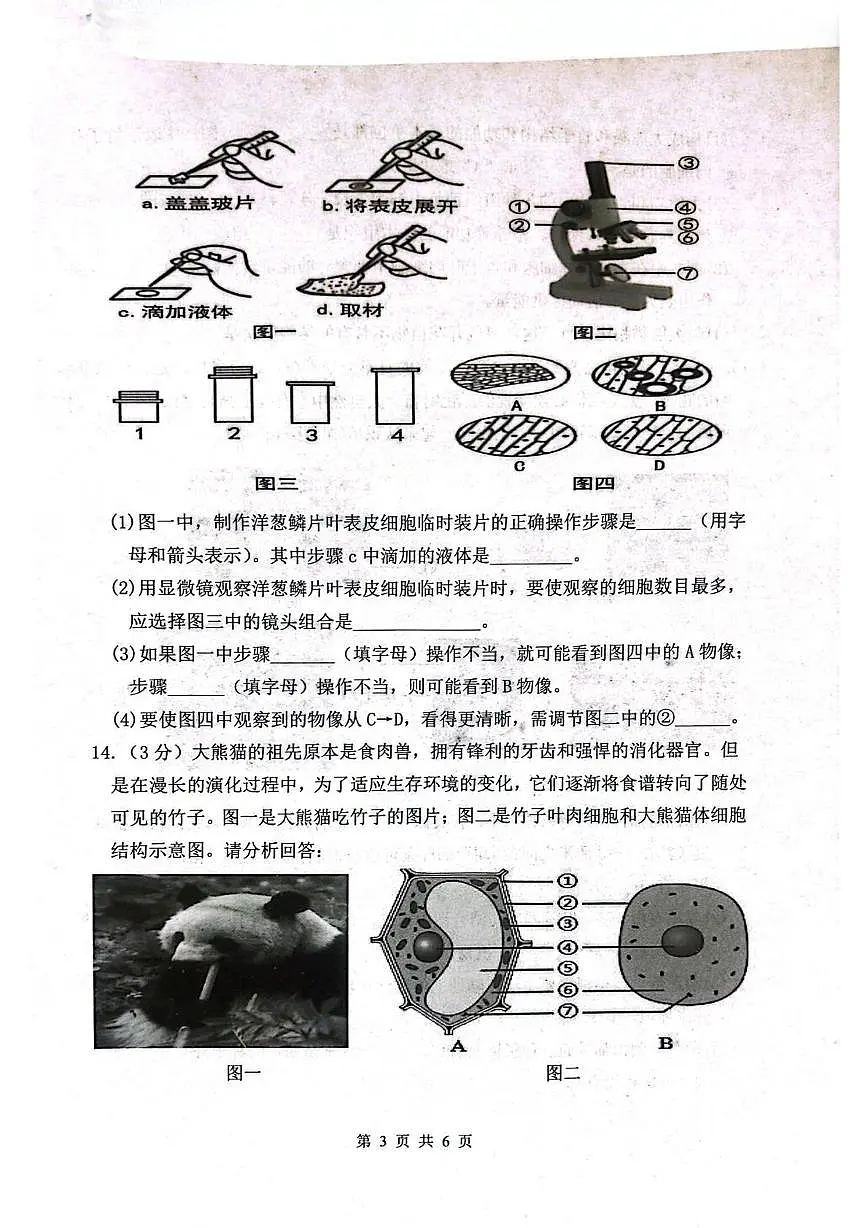 辽宁省沈阳市铁西区2025-2026学年七年级上学期期末生物试卷第3页
