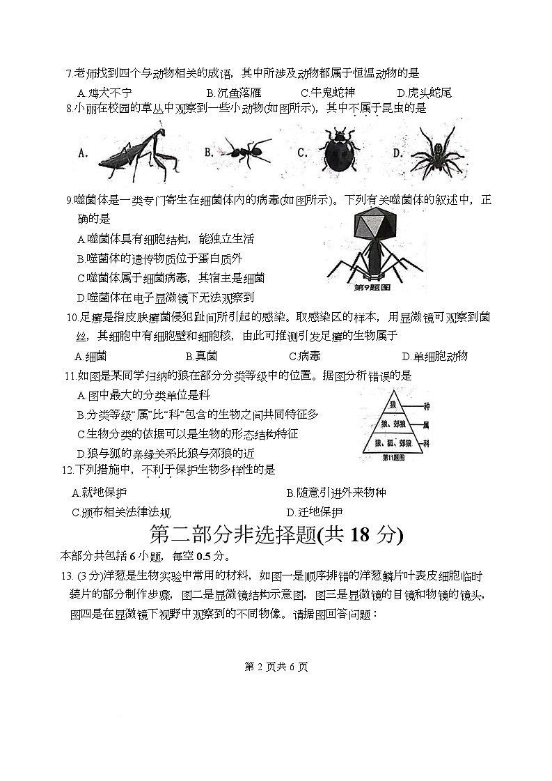 辽宁省沈阳市铁西区多校联考2025-2026学年七年级上学期期末生物试卷第2页