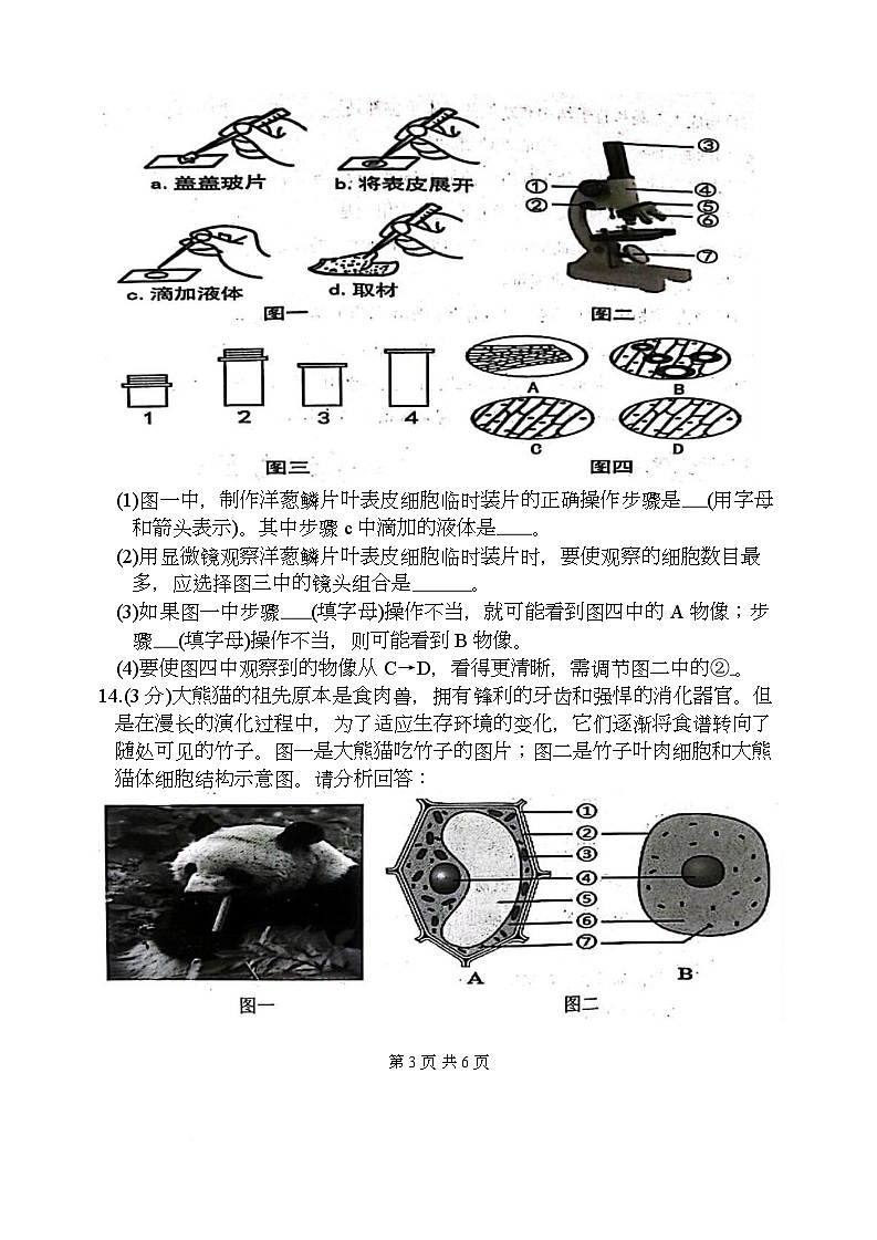 辽宁省沈阳市铁西区多校联考2025-2026学年七年级上学期期末生物试卷第3页