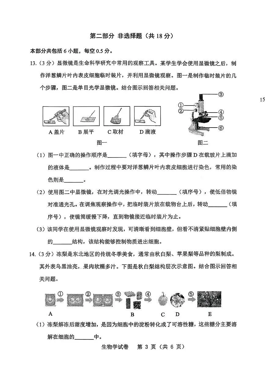 辽宁省铁岭市2025-2026学年七年级上学期1月期末生物试题第3页