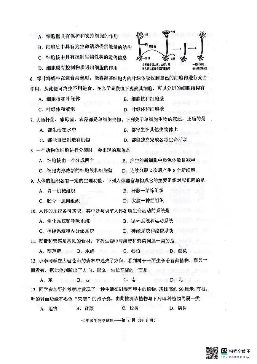 云南省大理州大理市2024-2025学年七年级上学期期末生物试卷第2页