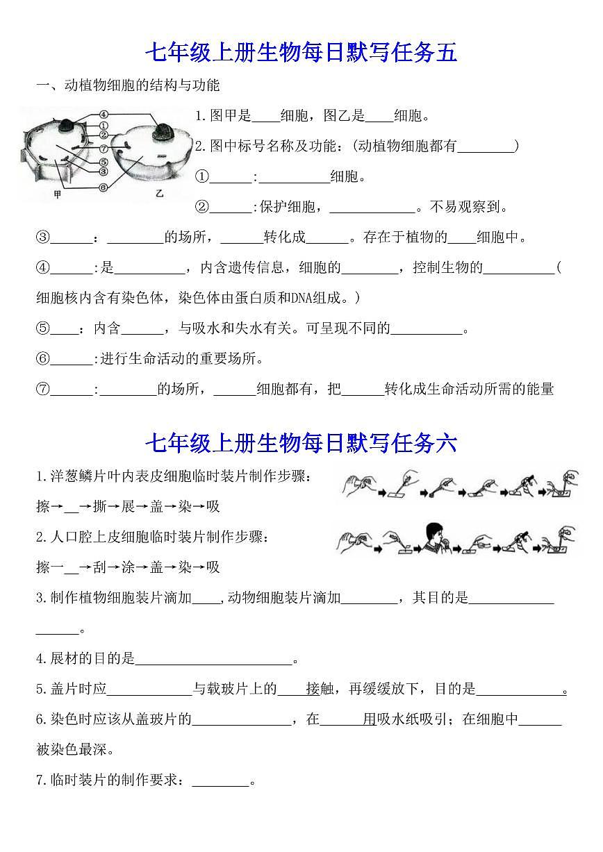 2024版人教版七年级上册生物期末知识点每日默写含答案第3页