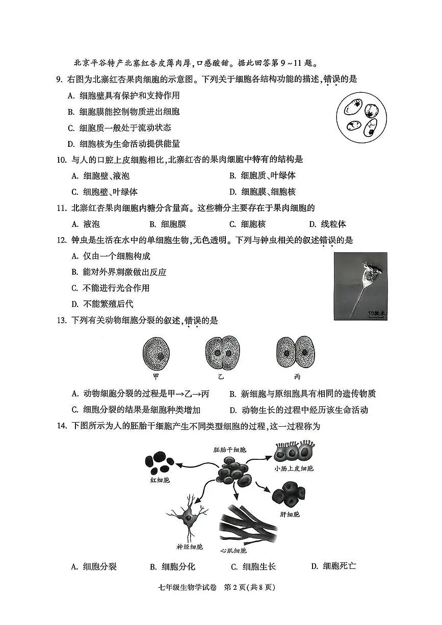 北京市朝阳区2025--2026学年七年级上学期1月期末生物试题第2页