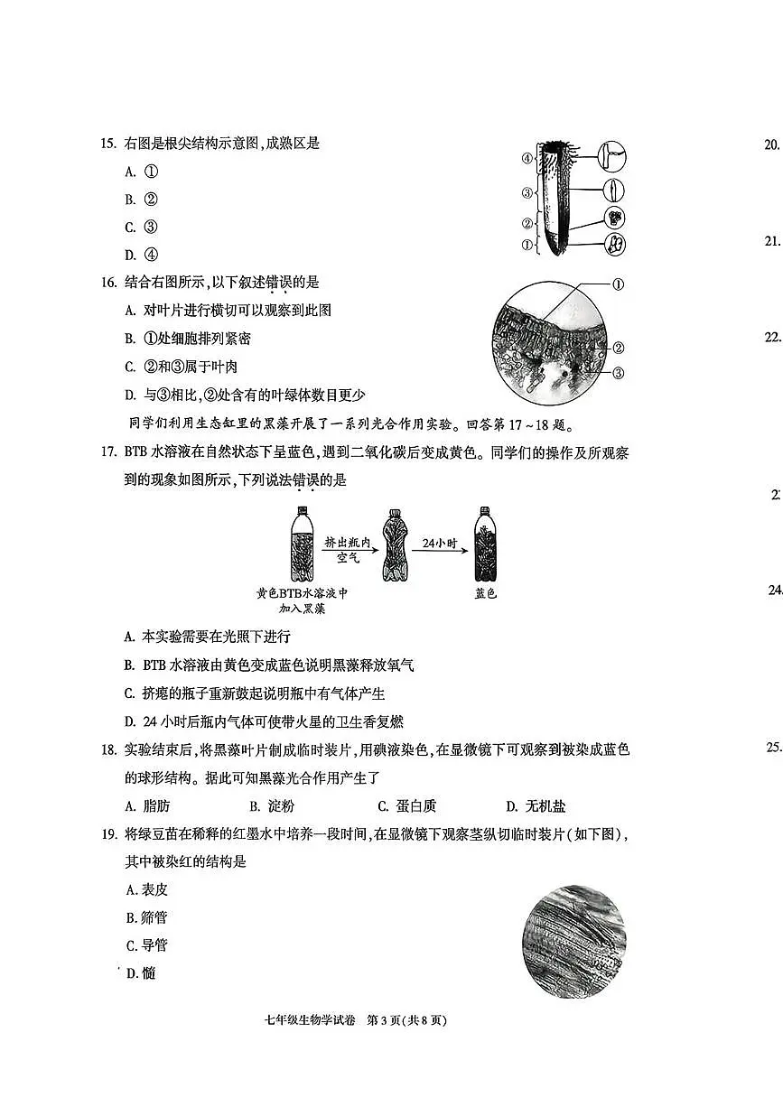 北京市朝阳区2025--2026学年七年级上学期1月期末生物试题第3页