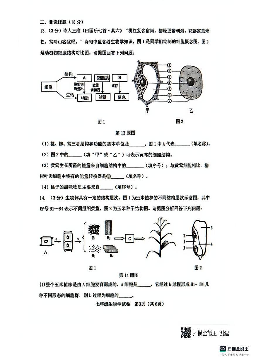 辽宁省大连市金普新区2025-2026学年七年级上学期期末生物试题第3页