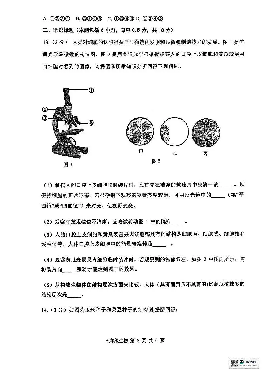 辽宁省瓦房店市第十九中学2025-2026学年七年级上学期期末生物试卷第3页
