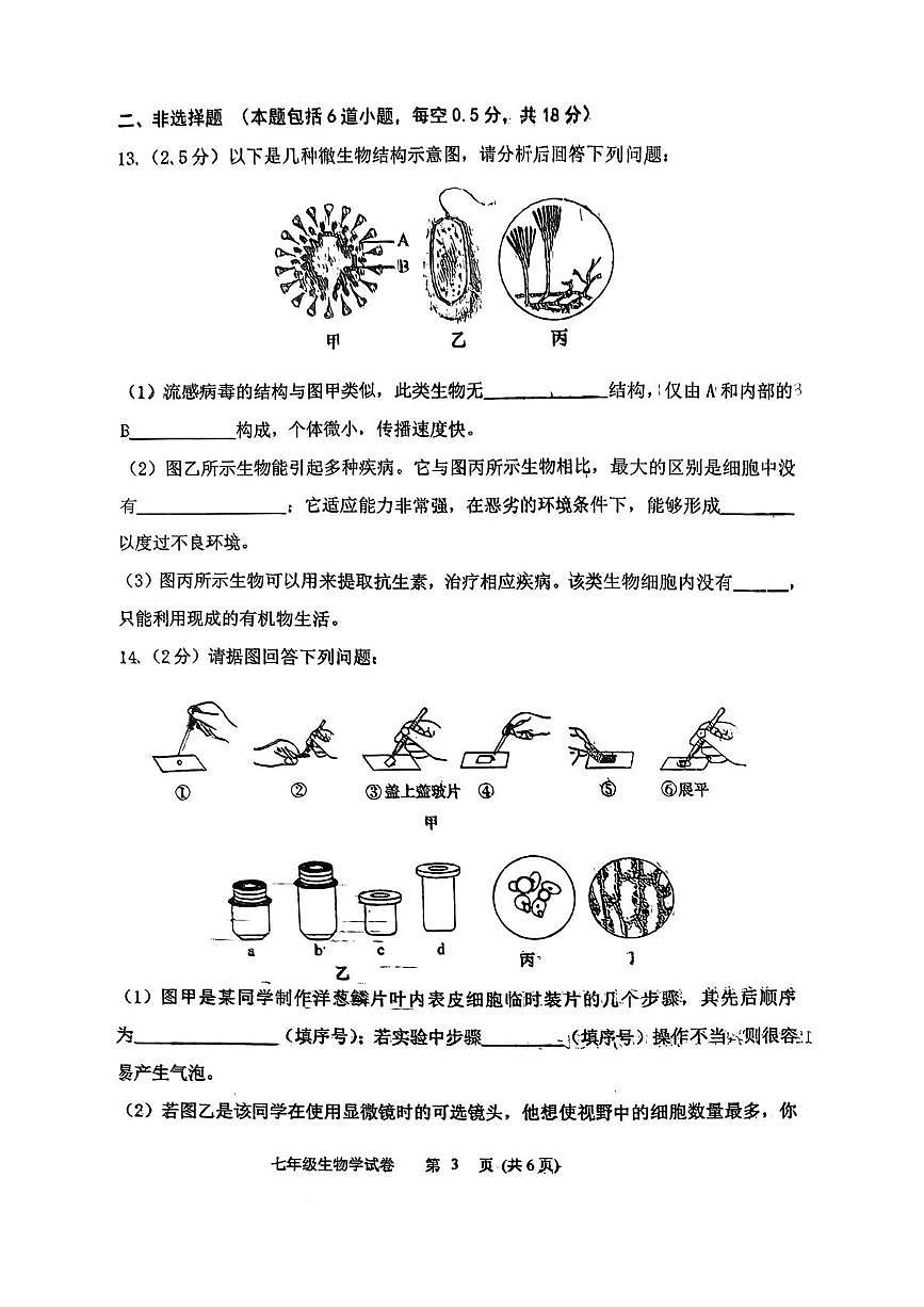 辽宁省铁岭市清河区 2025-2026学年七年级上学期1月期末生物试题第3页