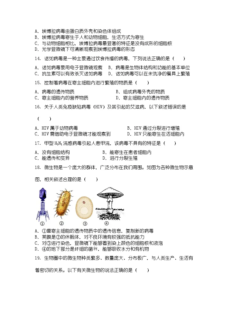 病毒专项训练卷第3页