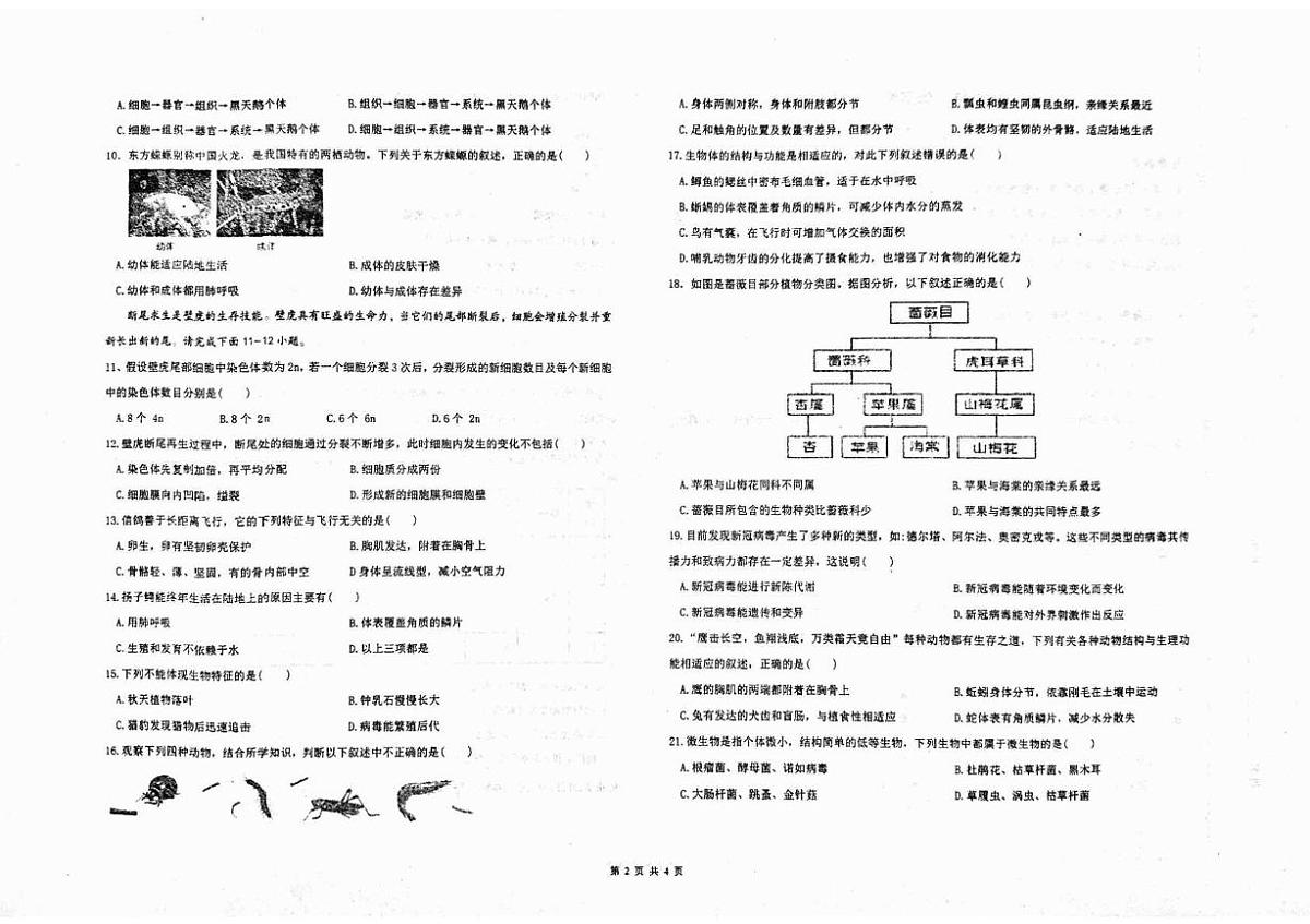 山东省济宁市汶上县第二实验中学2025-2026学年七年级上学期第二次月考生物试题第2页