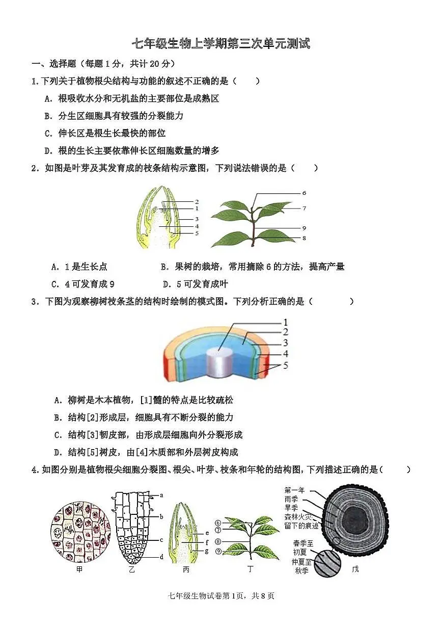 山东省泰安市宁阳县复圣中学2025-2026学年七年级上学期12月月考生物试题第1页