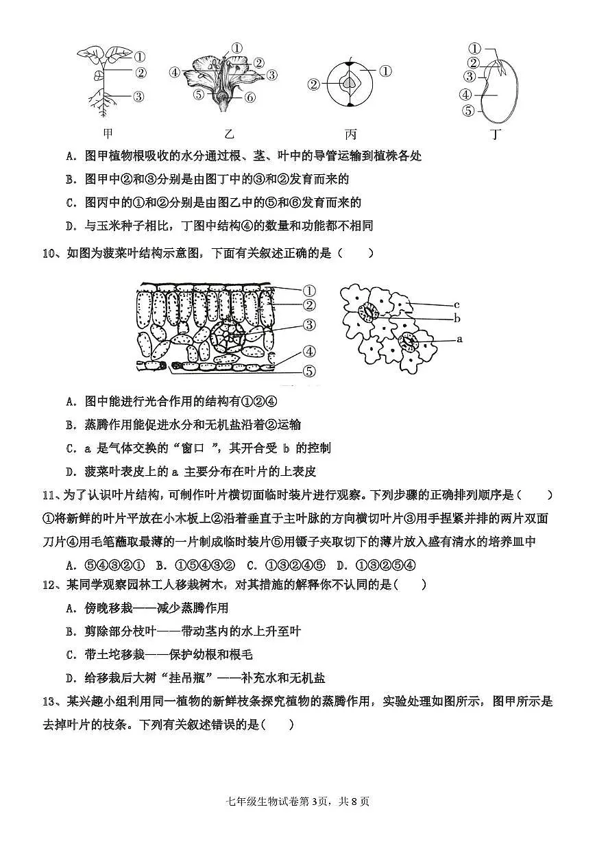 山东省泰安市宁阳县复圣中学2025-2026学年七年级上学期12月月考生物试题第3页