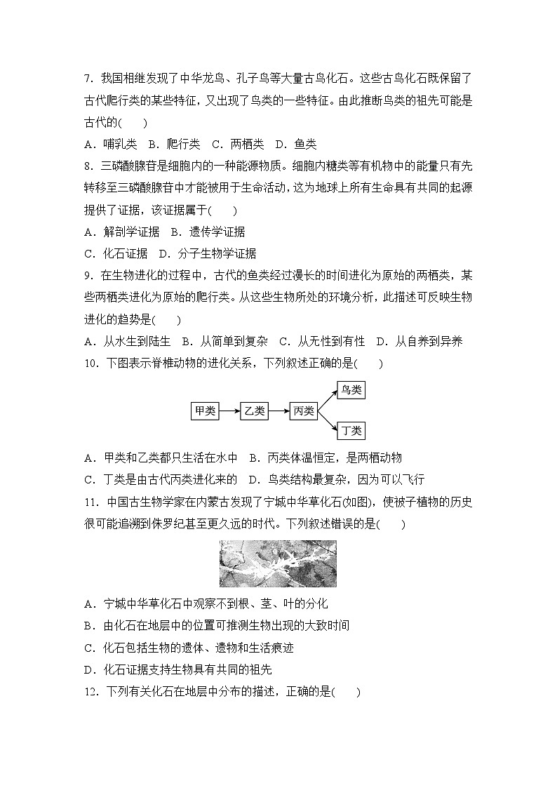 冀少版八年级生物下册 第六单元第三章 生命的起源与生物的进化 学情评估卷(含答案)第2页