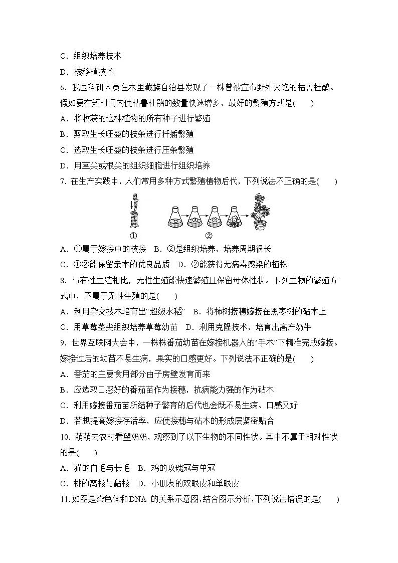 冀少版八年级生物下册 第六单元第一、二章学情评估卷(含答案)第2页