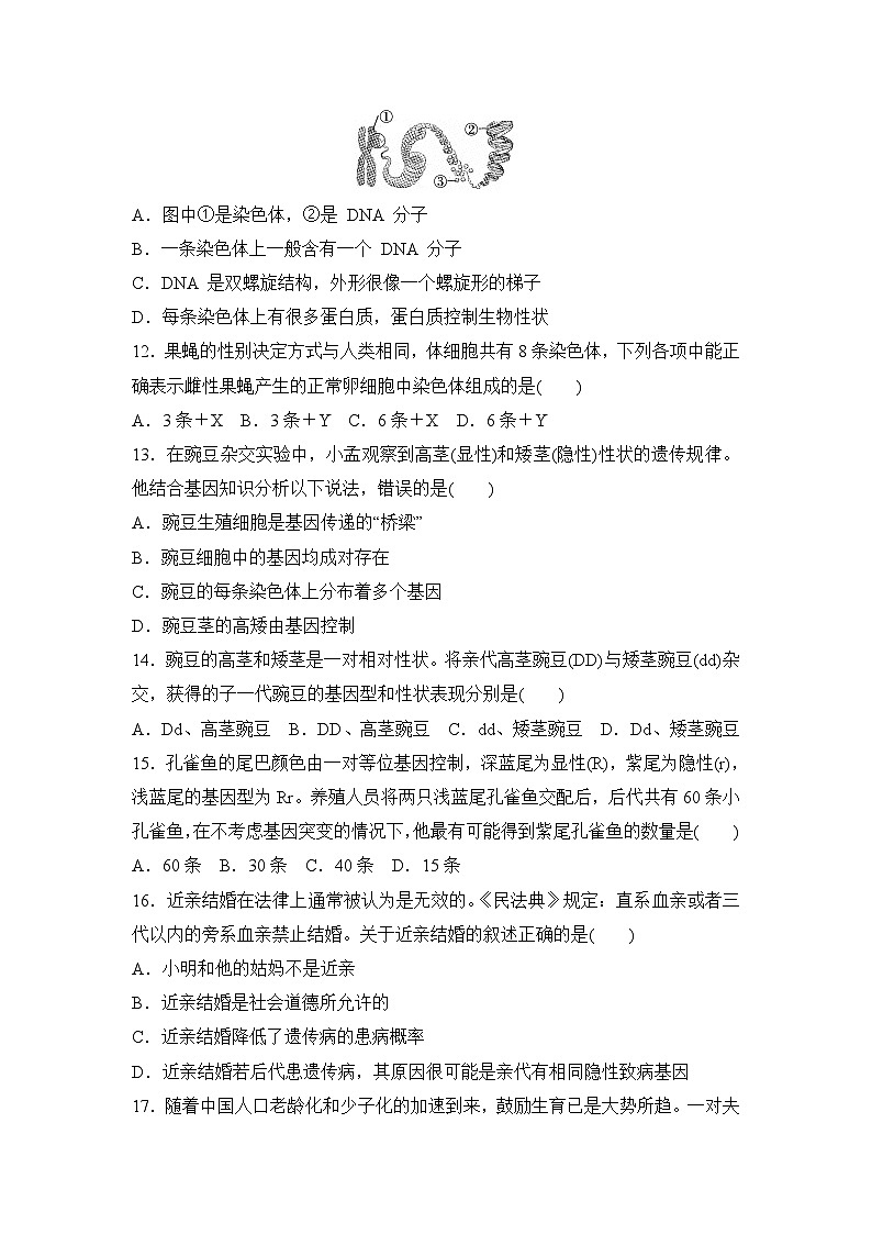 冀少版八年级生物下册 第六单元第一、二章学情评估卷(含答案)第3页