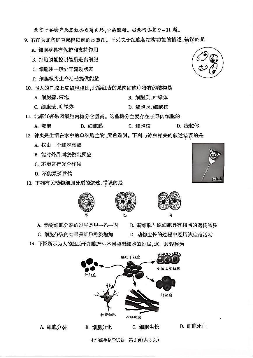 2026北京朝阳初一（上）期末生物试卷第2页