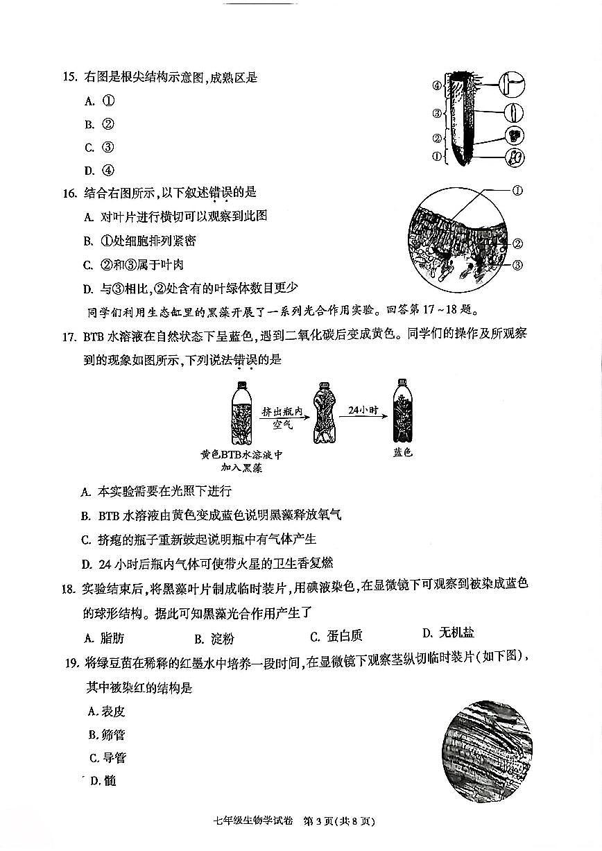 2026北京朝阳初一（上）期末生物试卷第3页