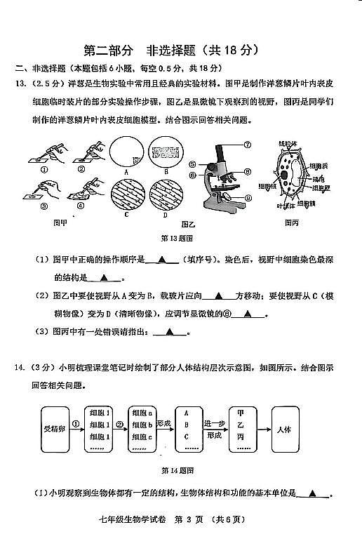 辽宁省本溪市2025-2026学年第一学期七年级生物学期末试卷（含答案）第3页