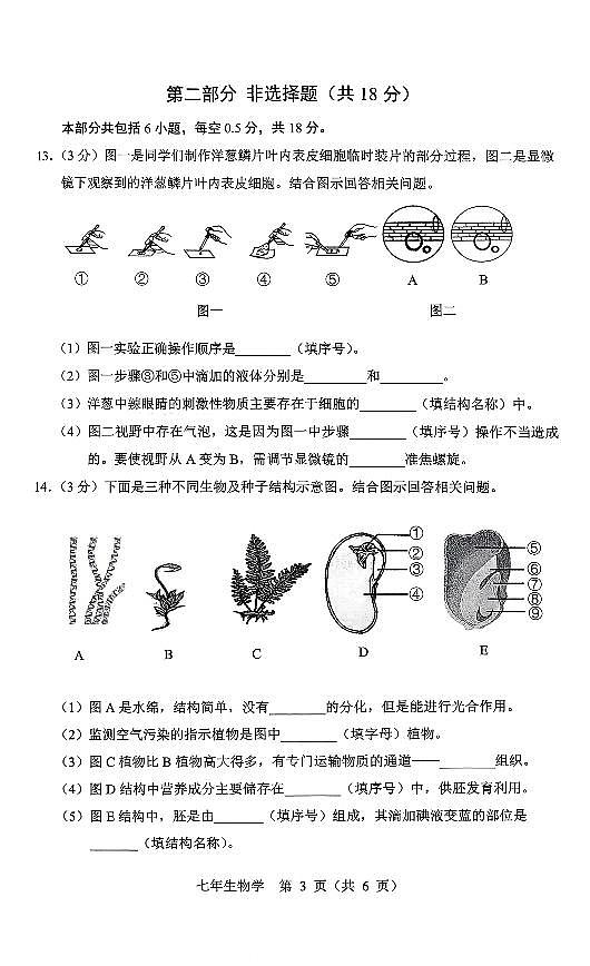 辽宁省营口市2025-2026学年第一学期七年级生物学期末试卷（含答案）第3页