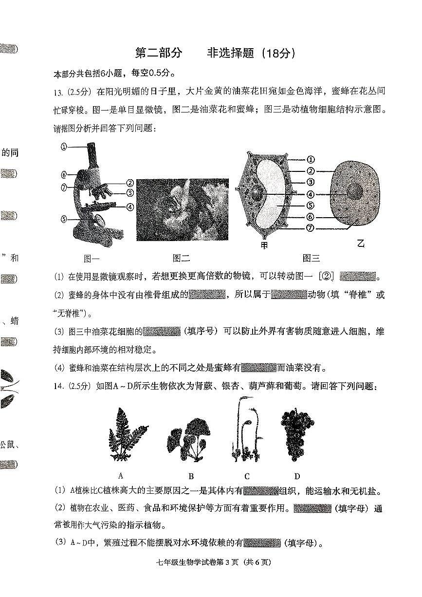 辽宁省沈阳市于洪区2025-2026学年第一学期七年级生物期末试卷（无答案）第3页