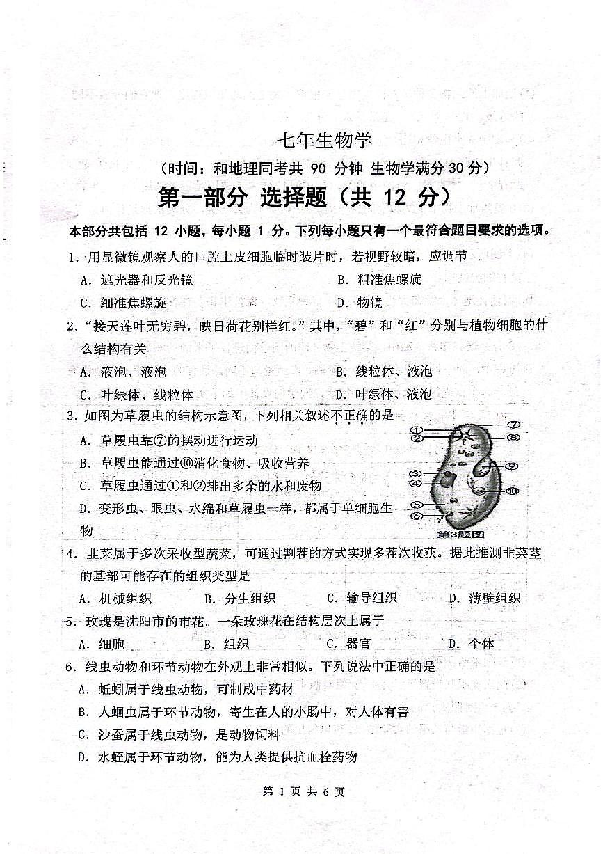 辽宁省沈阳市铁西区2025-2026学年第一学期七年级生物学期末试卷（含答案）第1页