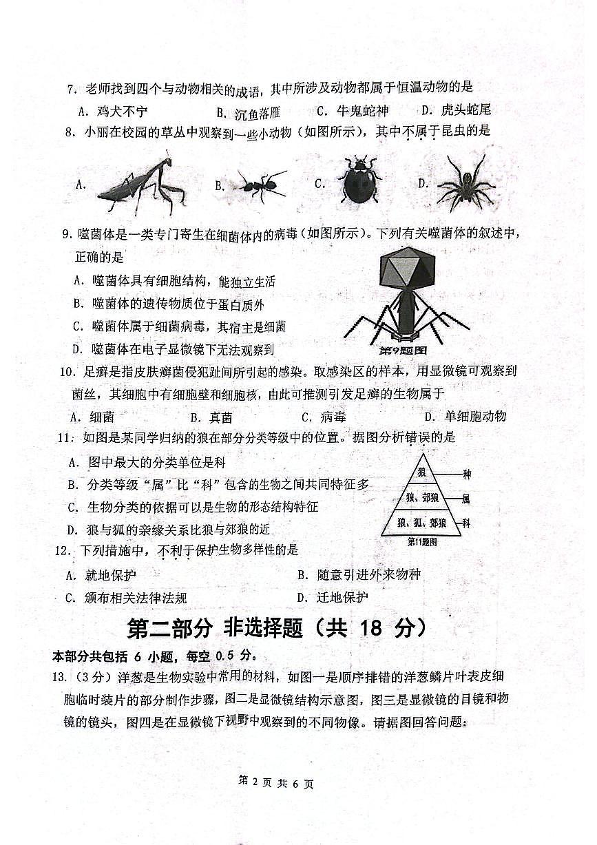辽宁省沈阳市铁西区2025-2026学年第一学期七年级生物学期末试卷（含答案）第2页