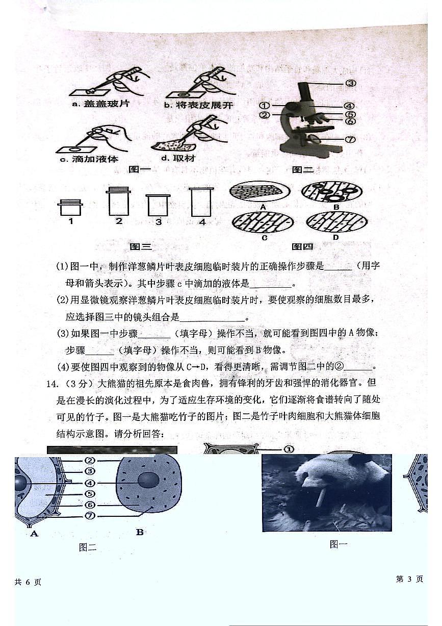 辽宁省沈阳市铁西区2025-2026学年第一学期七年级生物学期末试卷（含答案）第3页