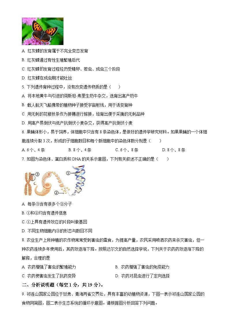 甘肃省平凉市2024-2025学年八年级下学期期中生物试题-A4第2页