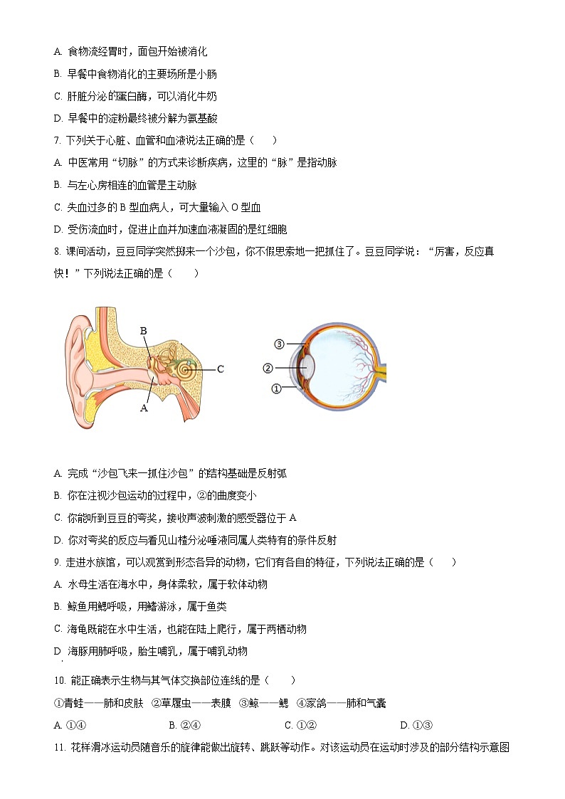 2025年甘肃省定西市安定区城区联考中考一模生物试题（原卷版）-A4第2页
