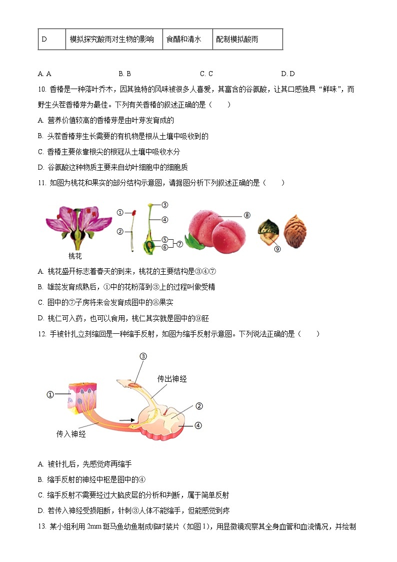 2025年甘肃省陇南市九年级中考二模生物试题-A4第3页
