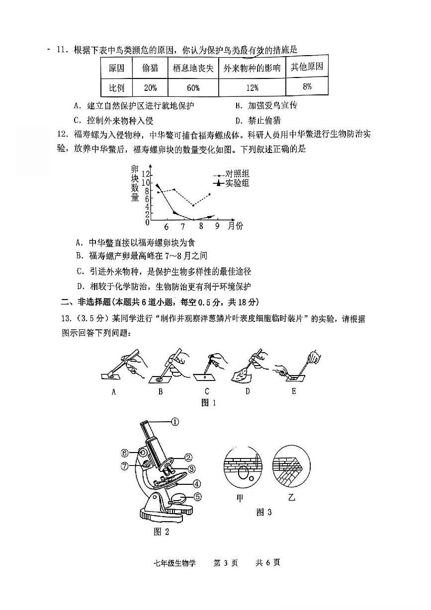 辽宁省沈阳市第43中学2025-2026学年第一学期七年级生物期末试卷（无答案）第3页