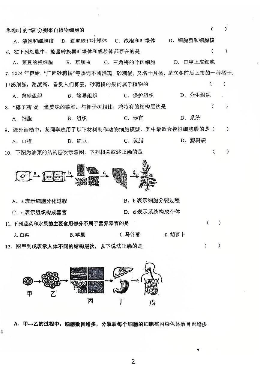 吉林省吉林市龙潭区吉化第三中学校2025-2026学年七年级上学期1月期末生物试题第2页