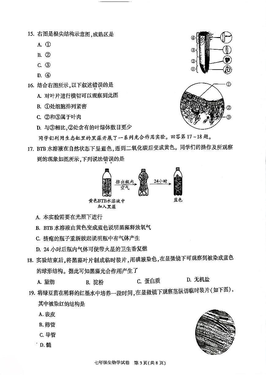 2026北京朝阳初一（上）期末生物试卷和参考答案第3页