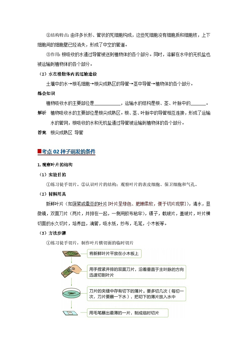 专题09植物体内的物质与能量变化（word） 2025-2026学年初中生物人教版2024一轮复习讲义知识清单+习题（解析版）第2页