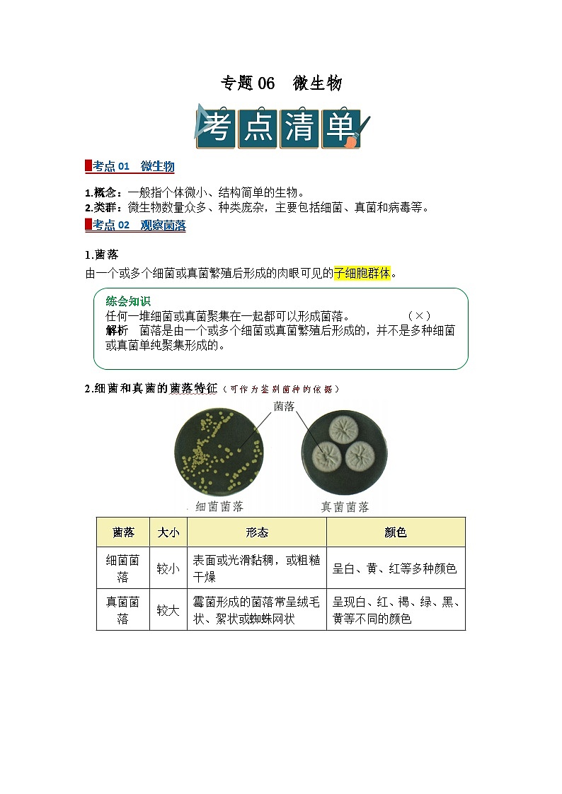 专题06  微生物（word） 2025-2026学年初中生物人教版2024一轮复习讲义知识清单+习题（原卷版）第1页