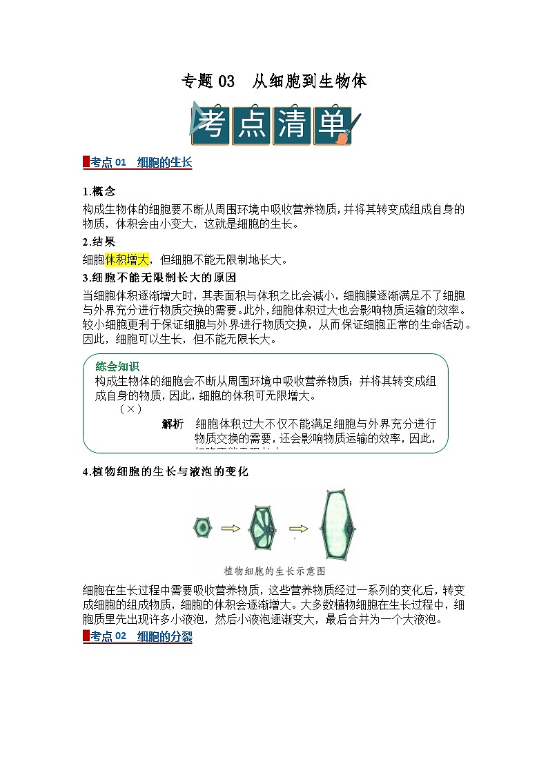 专题03  从细胞到生物体（word） 2025-2026学年初中生物人教版2024一轮复习讲义知识清单+习题（解析版）第1页