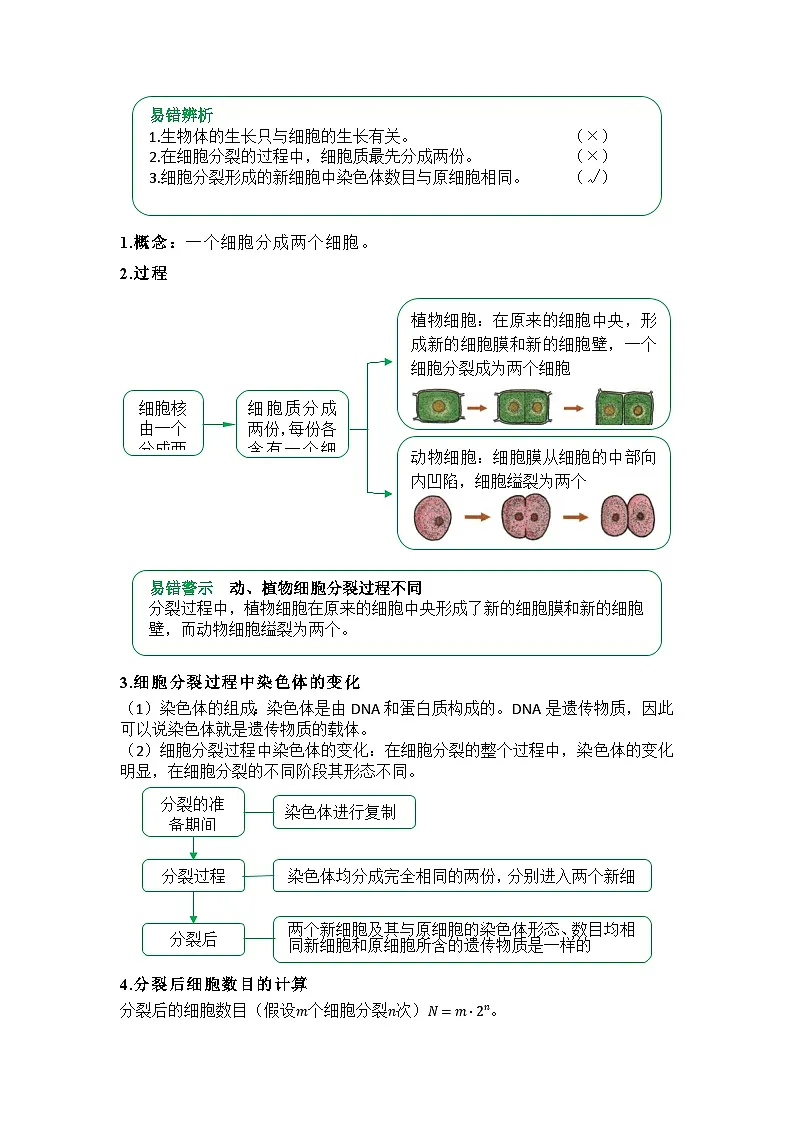 专题03 从细胞到生物体（word） 2025-2026学年初中生物人教版2024一轮复习讲义知识清单+习题（解析版）第2页