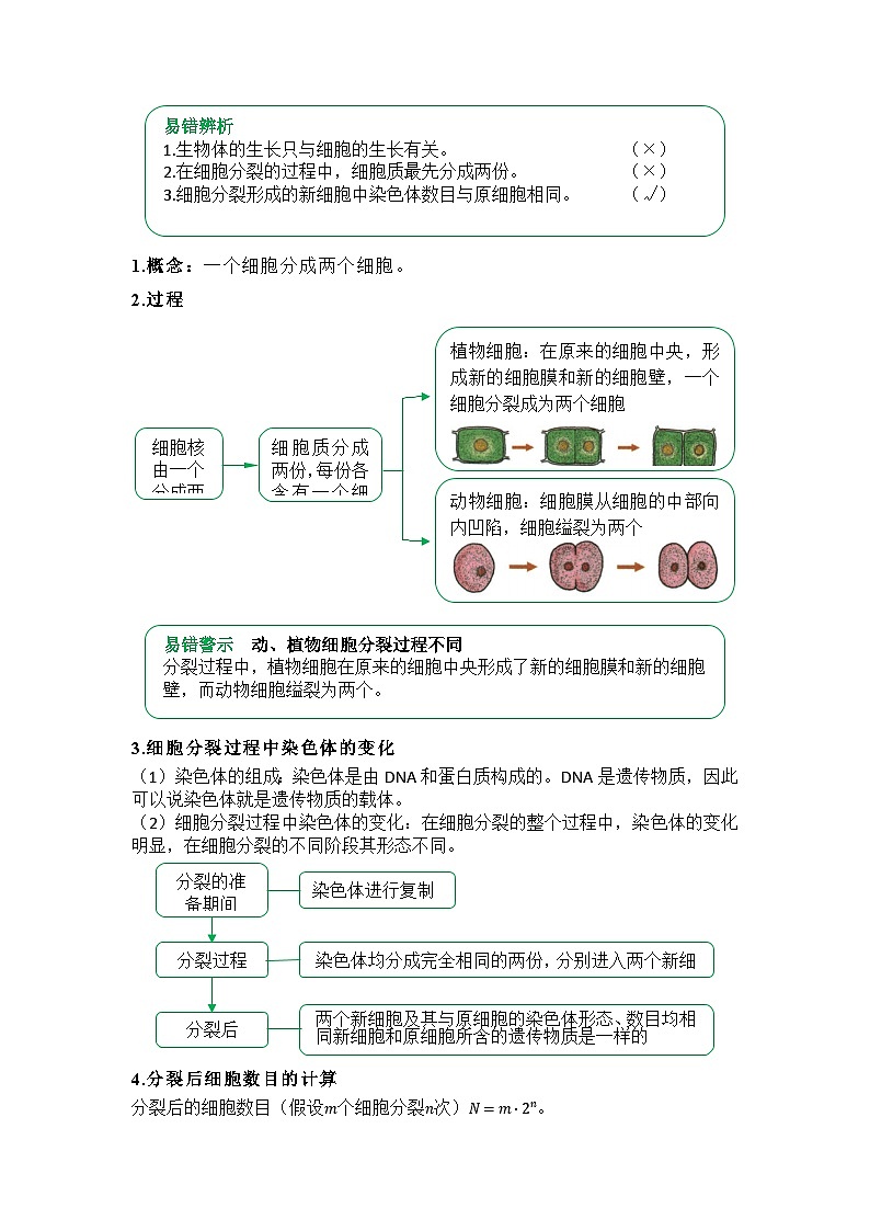 专题03  从细胞到生物体（word） 2025-2026学年初中生物人教版2024一轮复习讲义知识清单+习题（解析版）第2页