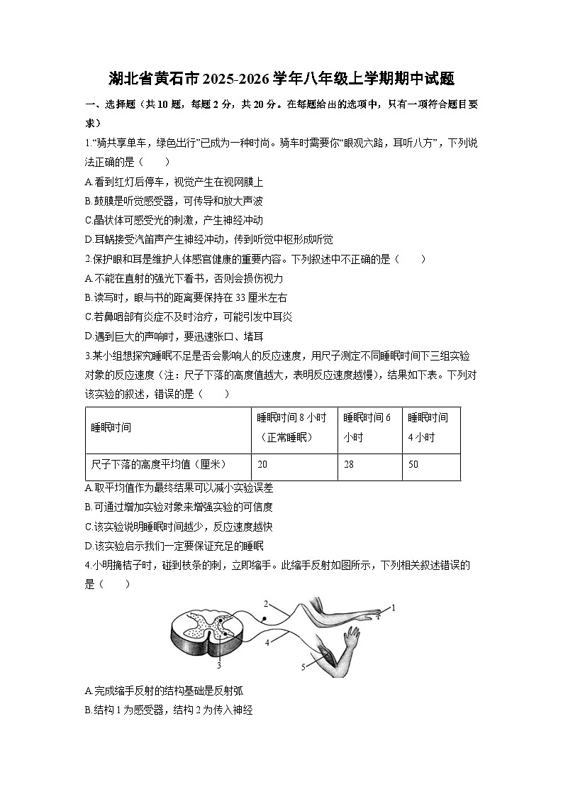 2025-2026学年湖北省黄石市八年级上学期期中生物试卷（学生版）第1页
