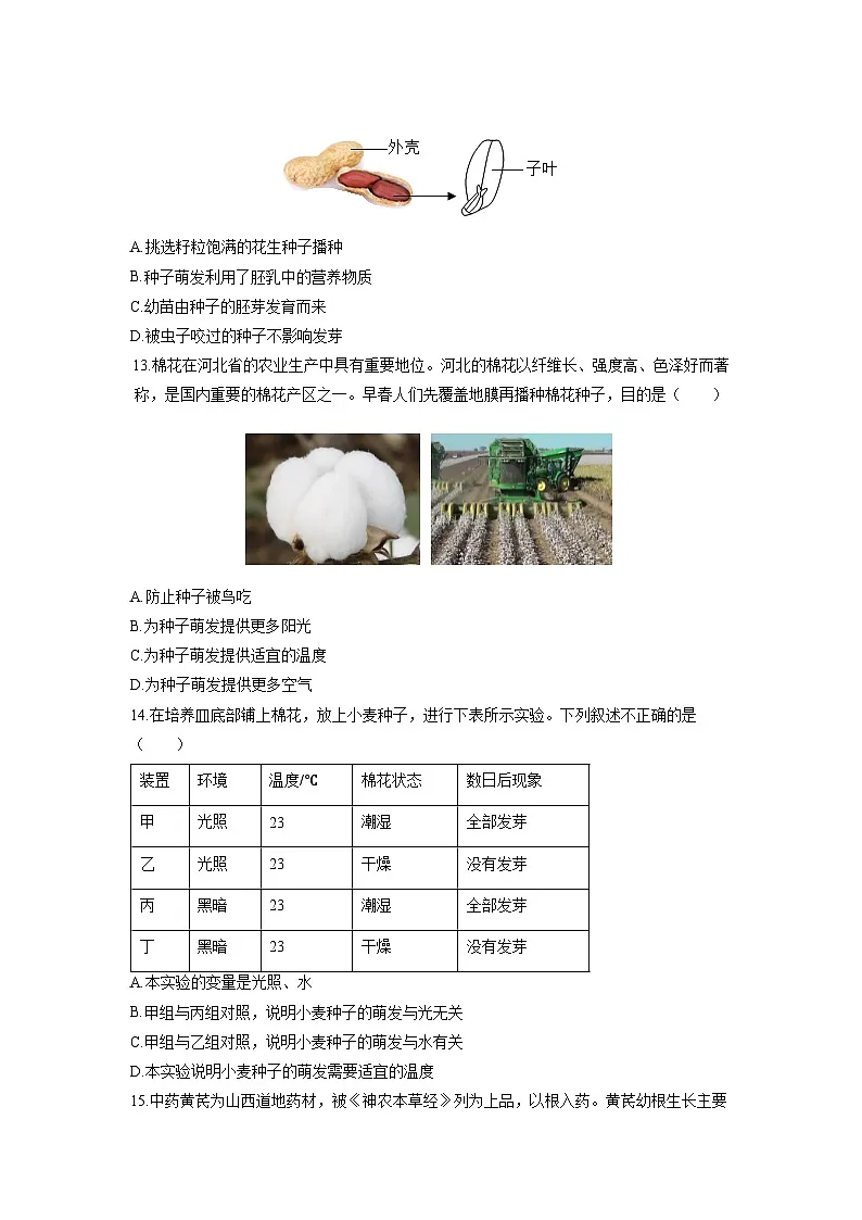 2025-2026学年河北省石家庄市八年级上学期期中生物试卷（学生版）第3页