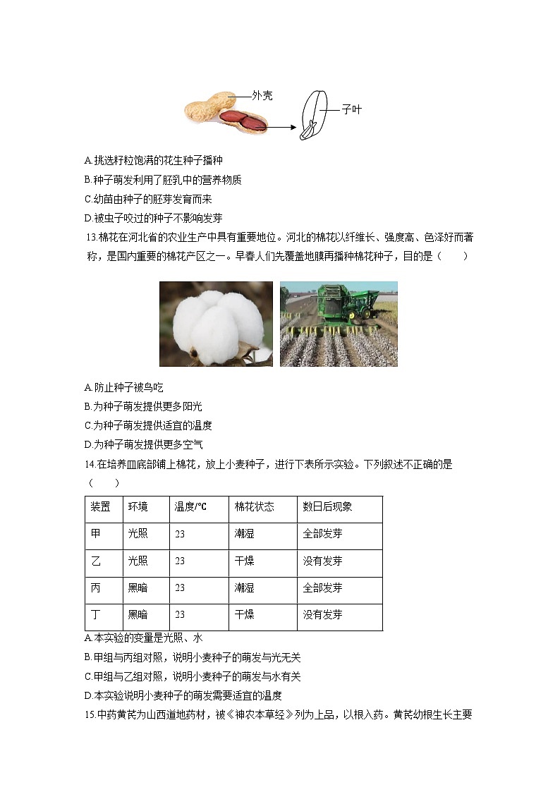 2025-2026学年河北省石家庄市八年级上学期期中生物试卷（学生版）第3页
