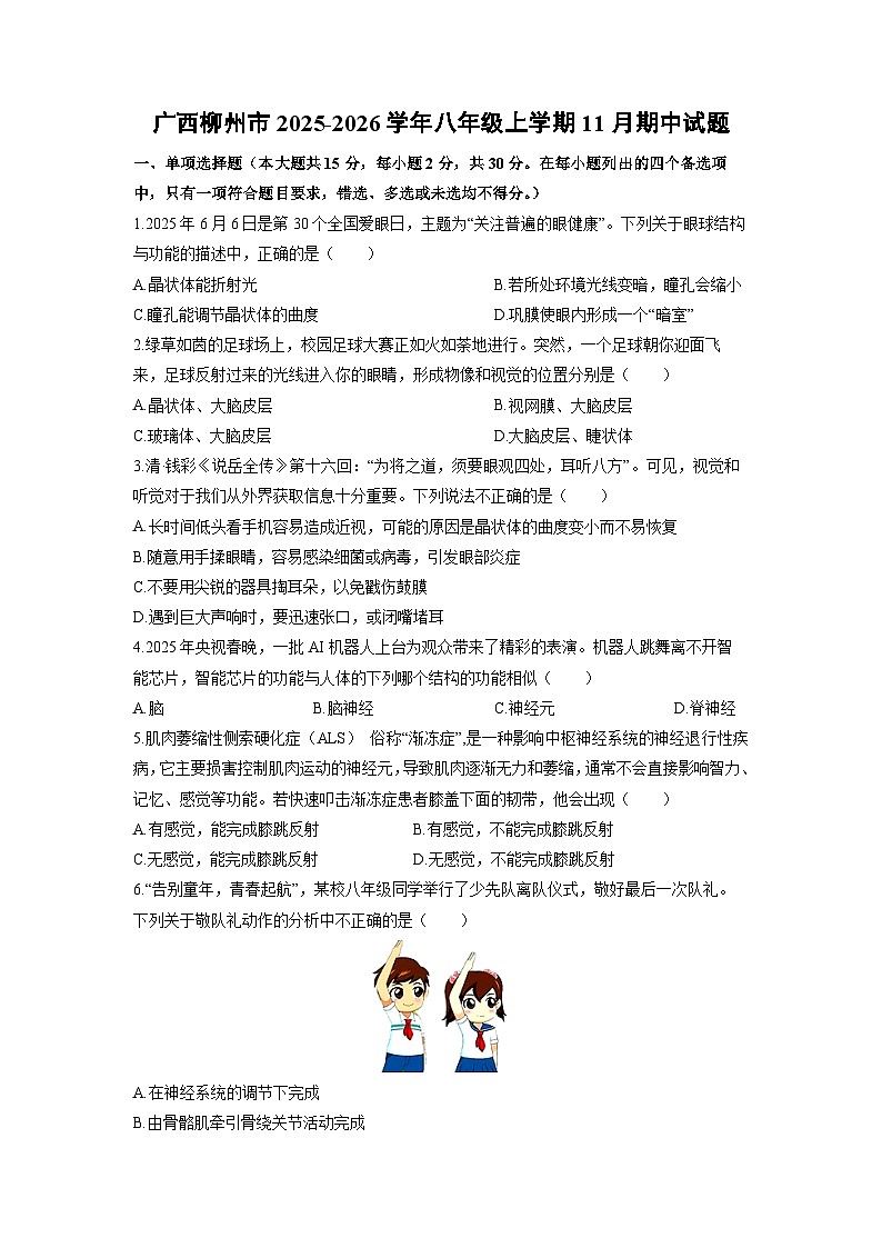 2025-2026学年广西柳州市八年级上学期11月期中生物试卷（学生版）第1页