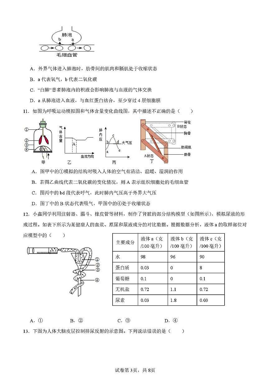 山东省菏泽市曹县博宇中学2025-2026学年九年级上学期第二次月考生物试题第3页