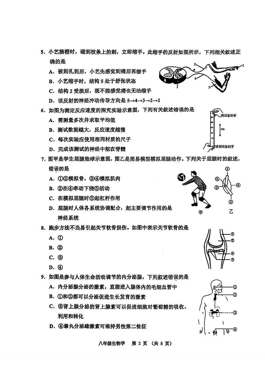 天津市河西区2025--2026学年八年级上学期1月期末生物试题第2页